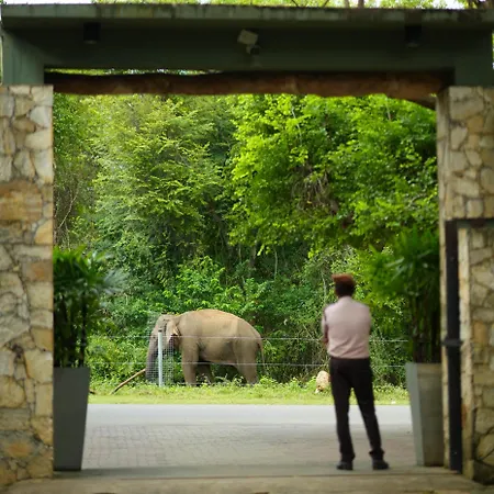 Elephant Trail Udawalawe Exterior photo