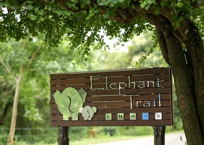 Elephant Trail