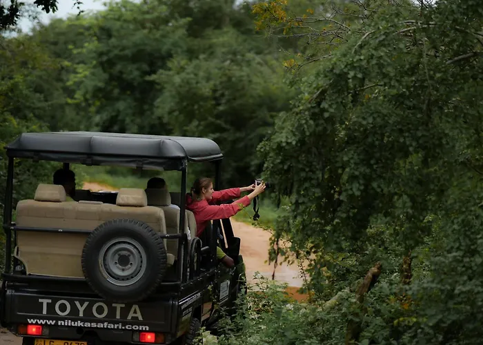 Elephant Trail