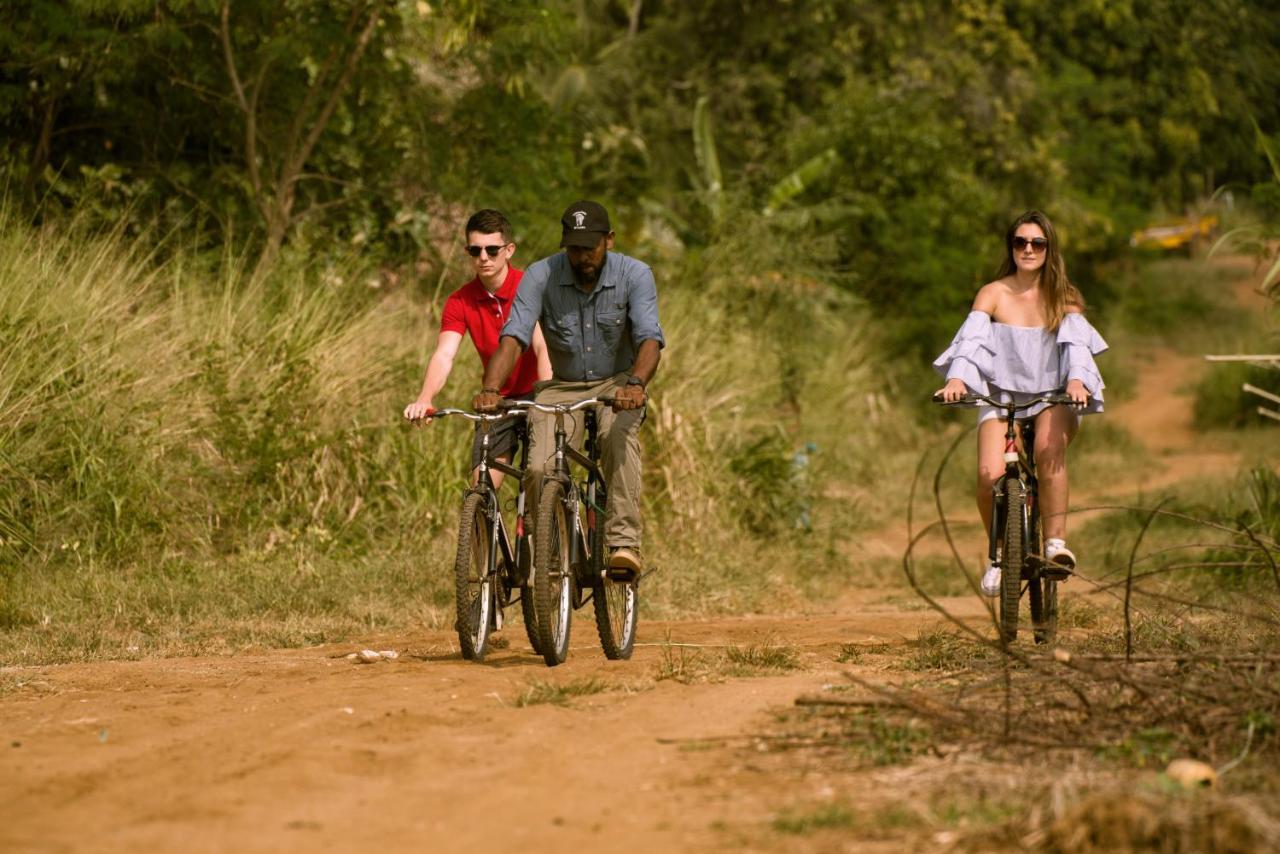 Elephant Trail فندق اوداوالاوي