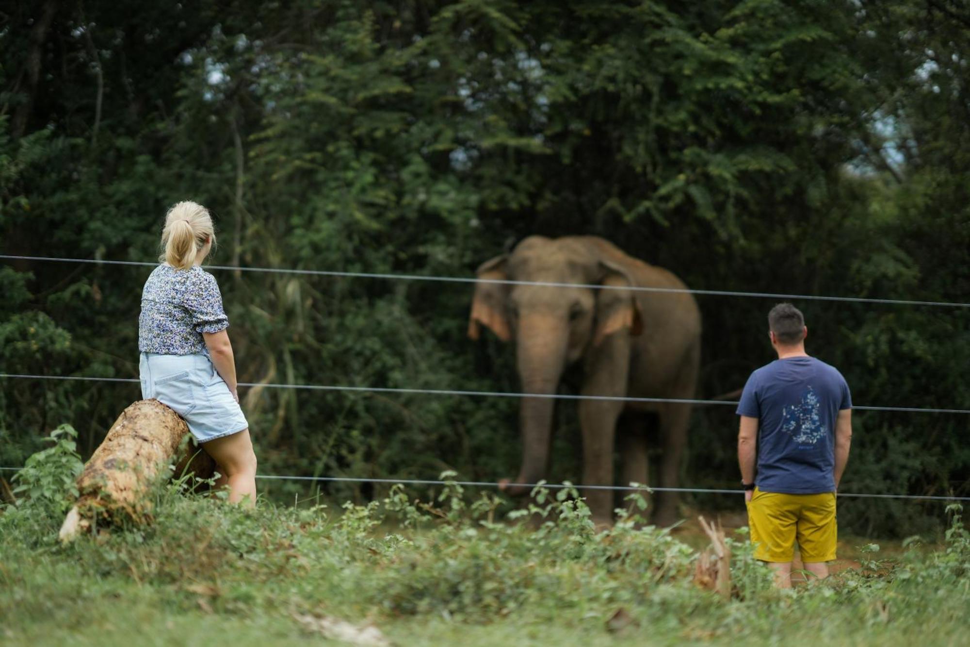 होटल Elephant Trail