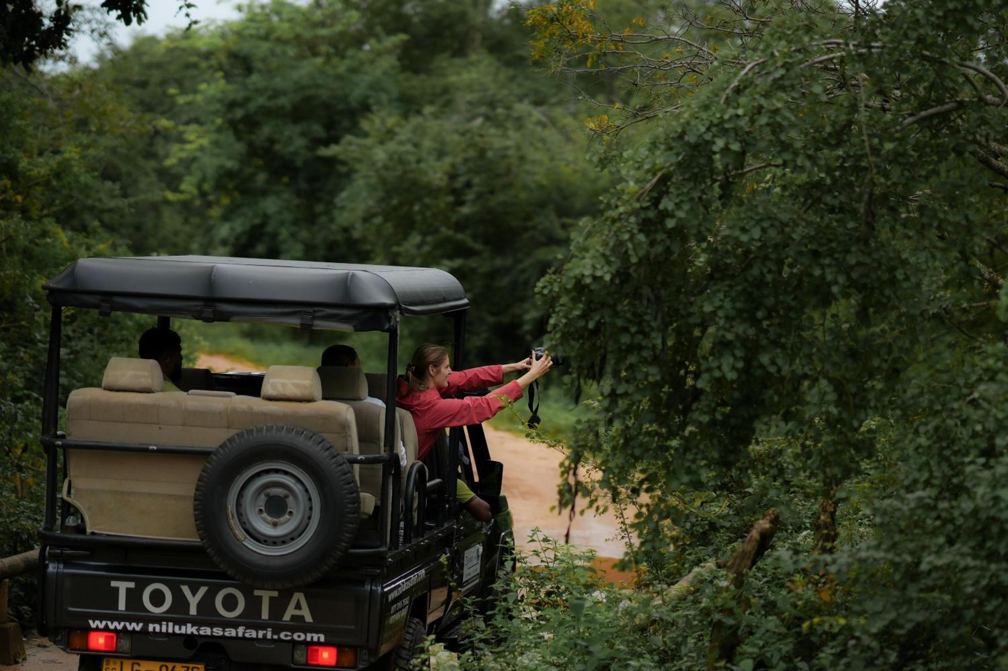 Elephant Trail होटल